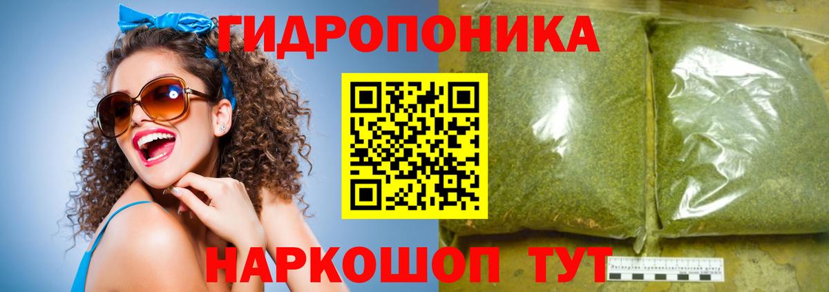 Бошки Шишки AK-47 Курчалой